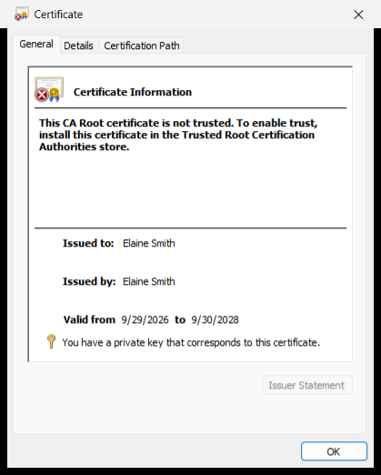 Windows certificate window with the private key message