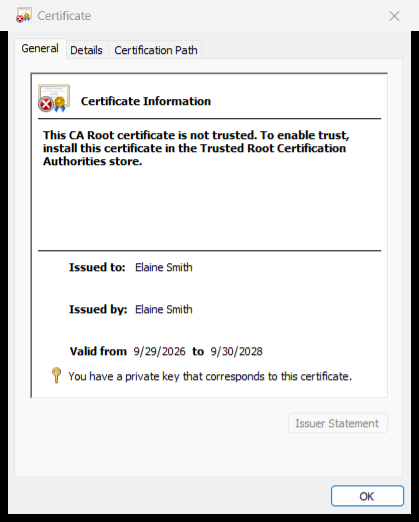Windows certificate window with the private key message